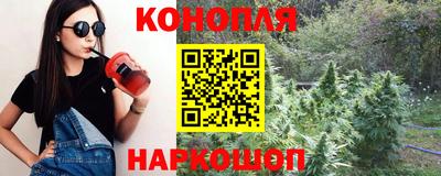 крисы Бузулук
