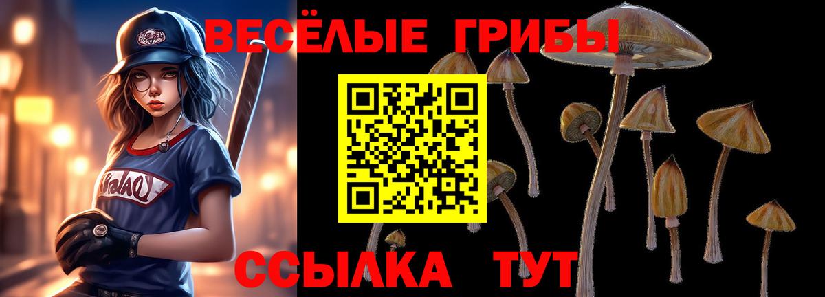 Псилоцибиновые грибы Magic Shrooms  Псилоцибиновые грибы MAGIC MUSHROOMS  Вход с VPN  Белорецк 